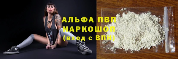 гидра Каменногорск