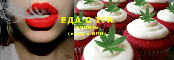 гидра Каменногорск