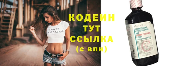 прущие крисы Инта