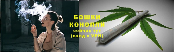 дживик Касимов