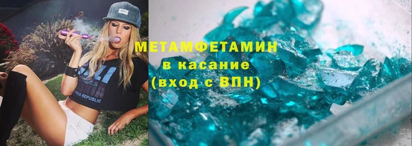 гидра Каменногорск