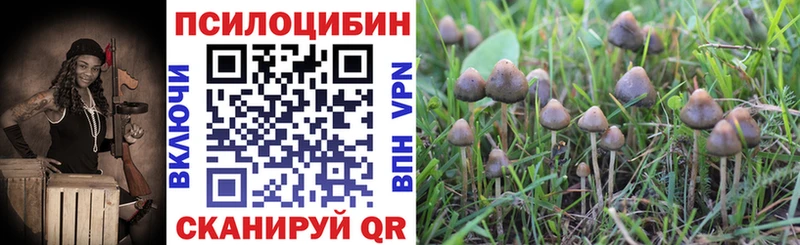 Псилоцибиновые грибы мицелий darknet телеграм Нефтекамск даркнет сайт